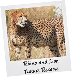 Rhino and Lion Reserve